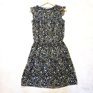 Ann Taylor Loft Floral Print Medium Mini Dress